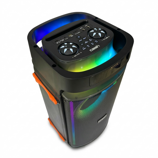 Boom 6080 Dual 6.5" Party Speaker