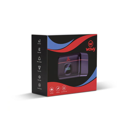 WOWY Dual Wireless Microphone