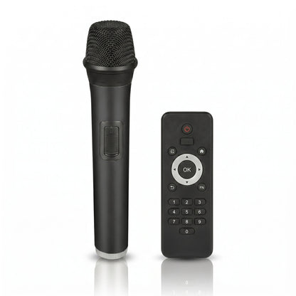 Party Speaker 8090 Dual