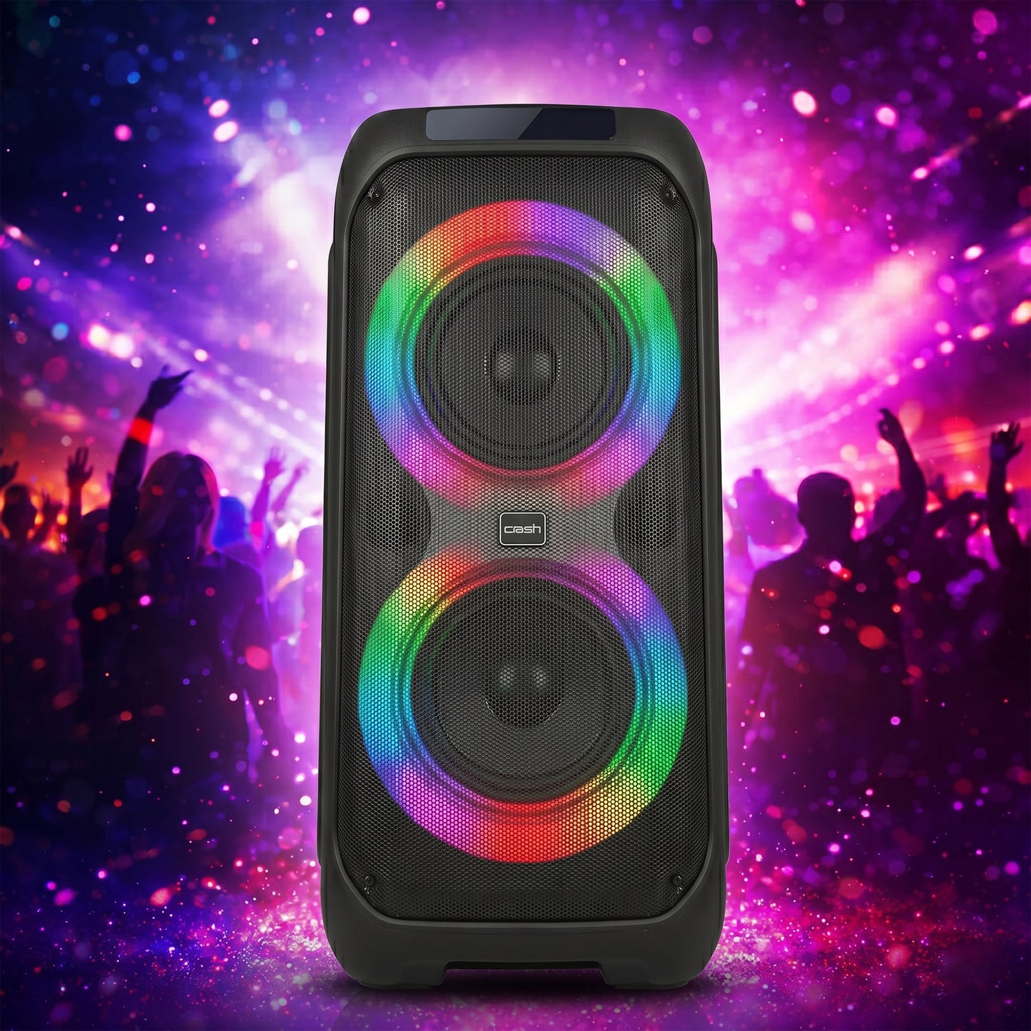 Party Speaker 8090 Dual