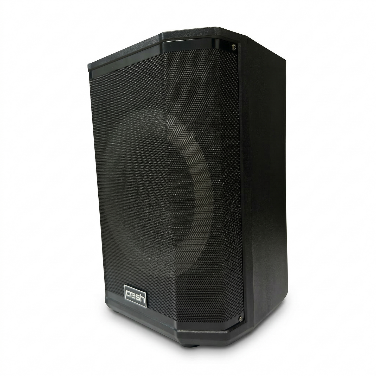 Pro 6000 Party Speaker