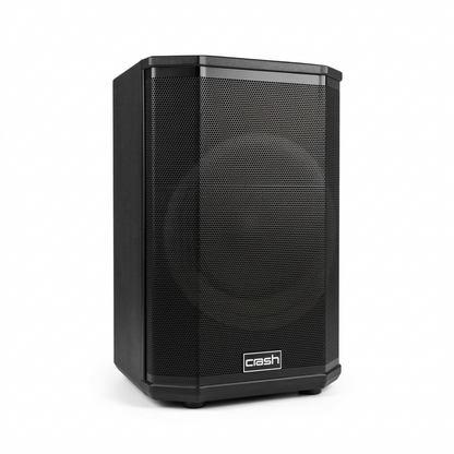 Pro 6000 Party Speaker
